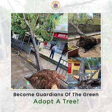 Runoff filters through the tree 3. à¤® à¤ Mumbai à¤†à¤ªà¤² Bmc On Twitter Let S Recover Our Cover Join The Adopt A Fallen Tree Pit Initiative Adopt A Tree And Help Us Revive The Green Cover Of Mumbai Which Was