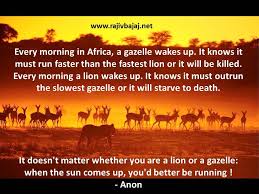 When The Sun Comes Up You Better Be Running Pictorial Quote Of The Day Quote Of The Day How To Run Faster Gazelle