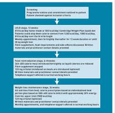 This liquid diet made me struggle so much, but it was also an eyeopener and really fun to film and do. Feasibility And Indicative Results From A 12 Month Low Energy Liquid Diet Treatment And Maintenance Programme For Severe Obesity British Journal Of General Practice