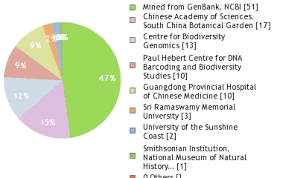 Image result for Embelia xylocarpa