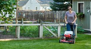 We specialize in lawn care service, lawn maintenance. How To Maintain Grass In Extreme Heat Toro Yard Care Blog