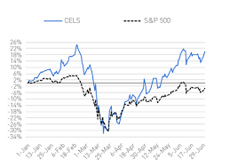 In the last 10 years, the spdr s&p 500 (spy) etf obtained a 13.38% compound annual return, with a 13.45% standard deviation. Q2 2020 Index Review Top Trends Clean Edge