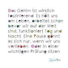 Bildergebnis Fur Gehirn Im Griff Spruche Witzige Spruche Lustige Spruche
