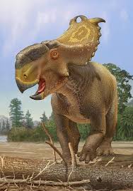 Pachyrhinosaurus Saddle - Ark: Survival Evolved Wiki