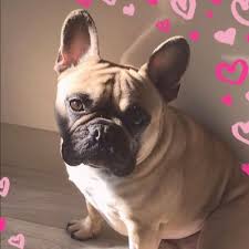 Catholic nun, medical ethicist, social justice activist, born in baltimore, great family, stray cat rescuer. Louise Lear Louiselear3 Twitter