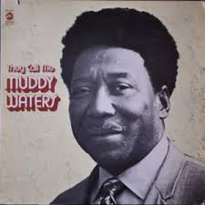 Muddy Waters ‎– Fathers And Sons