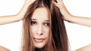 Image result for Jeruk Nipis Bisa Atasi Rambut Rontok