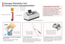 Image result for GnRH Stimulation Test