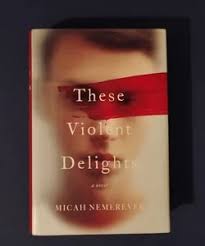 These Violent Delights by Micah Nemerever, Hardcover
