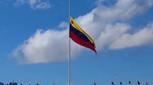 @Milicia_B1's video Tweet