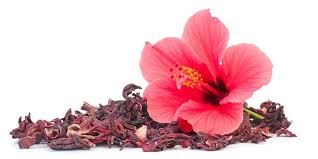 Bunga ini kemudian dijadikan teh herbal yang memiliki 1001 manfaat bagi kesehatan tubuh manusia. 8 Manfaat Sehat Dibalik Cantiknya Bentuk Bunga Rosella
