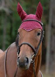 Pin On Horses