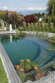 Gartenideen Backyard Pool Outdoor Pool Natural Swimming Pools