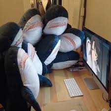 A Typical Day In The Life Of An Ikea Shark 8 Images Shark Meme Shark Plush Sharks Funny