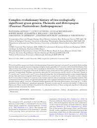 Image result for Diheteropogon amplectens