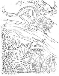 Whether you are a fan of coloring in or you just love anything to do with cats and cat pictures you will find something amongst it for either yourself, your friends or your family to enjoy. Pages Junction Cute Two Cats Coloring Pages