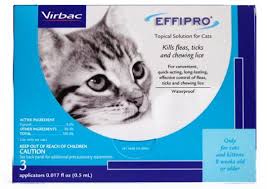 Effipro For Cats 3 Month Fleas Cat Fleas Cats