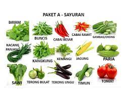 Sayur jenis daun sayur jenis buah. Jual Paket A Bonus 15 Jenis Paket Hemat Benih Unggul Sayur Sayuran Bervariasi Murah Juni 2021 Blibli