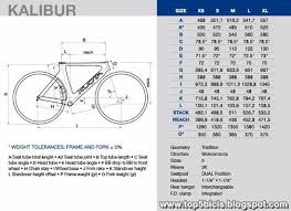 Kuota Kalibur Size Guide