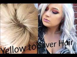 How To Get Silver Hair Yellow To Silver Platinum Youtube Silver Blonde Hair Silver Blonde Sallys Hair Color