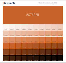 65 ($1.02/fl oz) get it as soon as wed, jun 30. Hex Color Code C7622b Pantone 16 1448 Tpx Burnt Orange Color Information Hsl Rgb Pantone