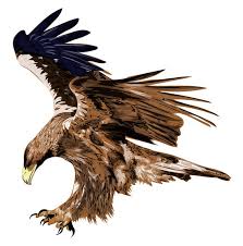 Golden Eagle Stylized Art Graphic Design Abstract Painting Original Art T Shirt Design Styliz Eagle Tattoo Eagle Phoenix Tattoo Design