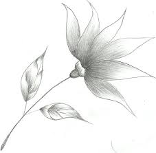Flower Sketch by Mubibuddy on deviantART | Flower sketch pencil, Flower  sketches, Pencil sketch images