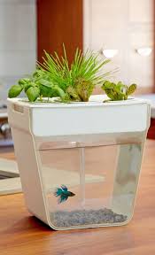 Aquafarm Self Cleaning Fish Tank That Grows Food Cool Ideas Urun Tasarimi Saksi