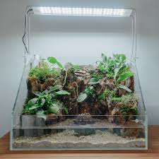 Paludarium Terrarium Aquascape Glass Wall