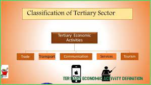 Tertiary activities are based on providing a service. Theviral Today Tertiary Economic Activity Definition Economic Activity Definition Classification And Feature Five Categories Of Economic Activity