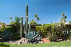 Such as total landscape designs, tree trimming and pruning, landscape maintenance, weeding, haul away of debris, landscaping curbing, retaining walls, joshua tree removal, and irrigation installation. 5 Must Try Desert Landscaping Ideas And Tips