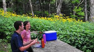 Visit our webpage at provenwinners.com for more ideas. Craggy Gardens Picnic Area U S National Park Service