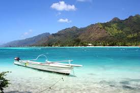 Image result for Mohria