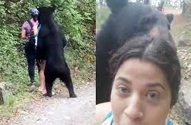 Beruang hitam vs beruang matahari. Viral Video Beruang Madu Hampiri 3 Wanita Di Meksiko Salah Satunya Justru Nekat Ajak Selfie Pikiran Rakyat Com