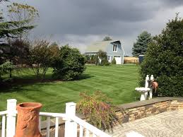 Contact home turf yard and home maintenance, llc. Lawn Care Landscaping Property Maintenance York Pa Mike S Plc