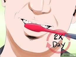 In fact, it is a myth that tooth decay cannot be. 3 Ways To Reverse Tooth Decay Wikihow