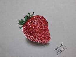 Continuous one line drawing of strawberry fruits vector illustration healthy food concept. Colored Pencils Drawing By Marcello Barenghi Cuded Realistic Drawings Strawberry Drawing Fruits Drawing