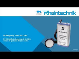 But if you learn how to detect pregnancy in goats, then you will be able to confirm that your doe conceived. Hk Pregnancy Tester For Cattle 1060 En Youtube