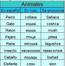 Aprender Ruso Buscar Con Google Aprender Ruso Idioma Ruso Alfabeto Ruso