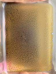Initially, the cactus pulp separates from the water and sits on top of the liquid. First Dcm Pull Full Spectrum Mescaline Hcl Extract Mescaline