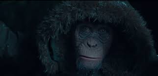 A page for describing ymmv: War For The Planet Of The Apes A Beautiful Commentary On Humanity Coronado Times