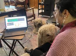 Fernie trauma therapist raising awareness of life-changing medical  technology