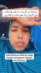 Abdo Hussein (@ahmedmohamed33564)