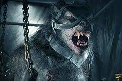 Lucian Underworld Rise Of The Lycans Werewolf Bing Images Underworld Werewolf Werewolf Werewolf Vs Vampire