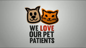 Waddell rd., #109 surprise, az 85379. Veterinarians Spay And Neuter Clinics Arizona