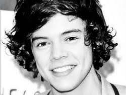 Harry Styles Twin Stories