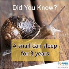 Pin On Fun Facts
