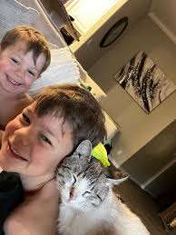 ❤️ADOPTED! Thank you to everyone for their support ❤️ REHOMING 😔 Meet  Lupe. He's less than 3 months and the sweetest baby. I had taken him in as  a stray that was