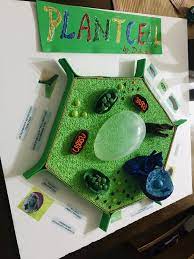 Jun 15, 2021 · 3d model description. Plant Cell 3d Model Plant Cell Project Cells Project Plant Cell Project Models