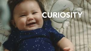 Cultivating Curiosity